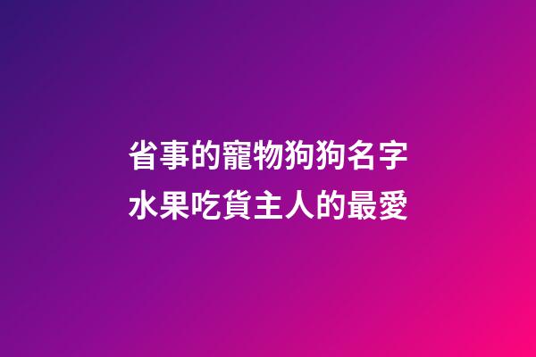 省事的寵物狗狗名字水果吃貨主人的最愛