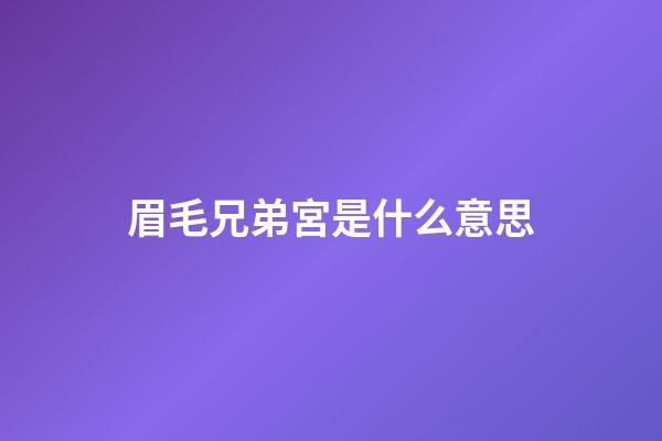 眉毛兄弟宮是什么意思