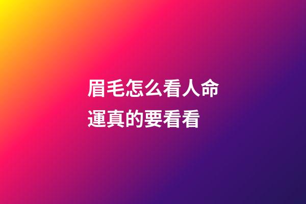 眉毛怎么看人命運真的要看看