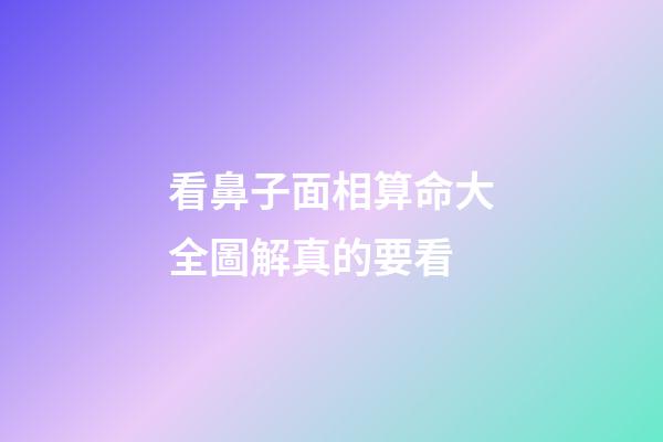 看鼻子面相算命大全圖解真的要看