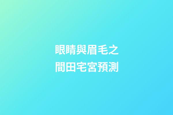 眼睛與眉毛之間田宅宮預測