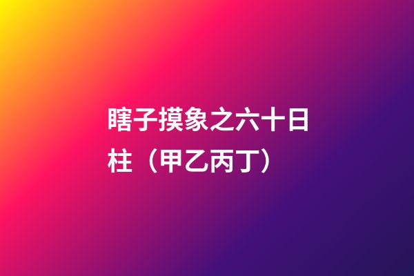 瞎子摸象之六十日柱（甲乙丙丁）