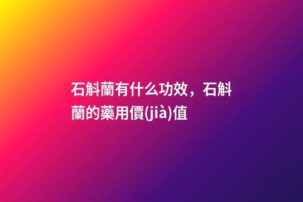 石斛蘭有什么功效，石斛蘭的藥用價(jià)值-第1張-觀點(diǎn)-玄機(jī)派