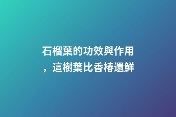 石榴葉的功效與作用，這樹葉比香椿還鮮-第1張-觀點(diǎn)-玄機(jī)派