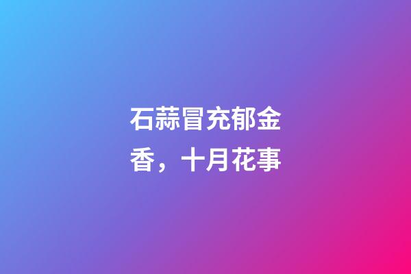 石蒜冒充郁金香，十月花事-第1張-觀點-玄機派