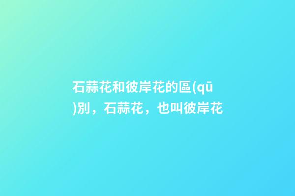 石蒜花和彼岸花的區(qū)別，石蒜花，也叫彼岸花-第1張-觀點(diǎn)-玄機(jī)派