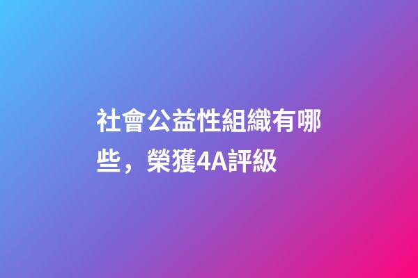 社會公益性組織有哪些，榮獲4A評級-第1張-觀點-玄機派