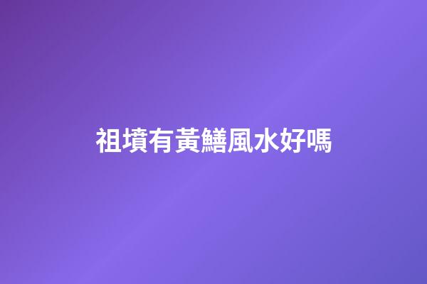 祖墳有黃鱔風水好嗎