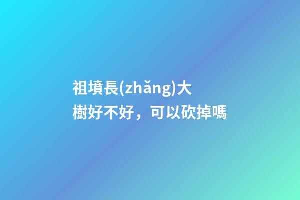 祖墳長(zhǎng)大樹好不好，可以砍掉嗎