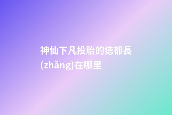 神仙下凡投胎的痣都長(zhǎng)在哪里