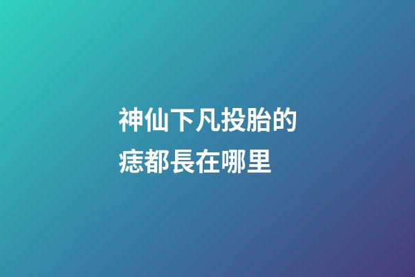神仙下凡投胎的痣都長在哪里