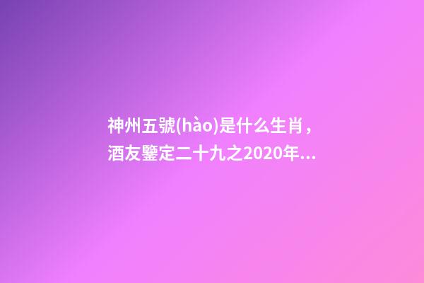 神州五號(hào)是什么生肖，酒友鑒定二十九之2020年鼠年生肖-第1張-觀點(diǎn)-玄機(jī)派