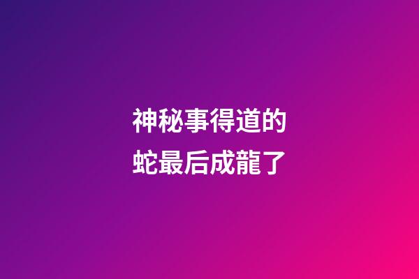 神秘事得道的蛇最后成龍了