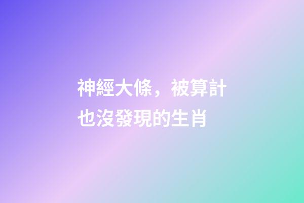 神經大條，被算計也沒發現的生肖