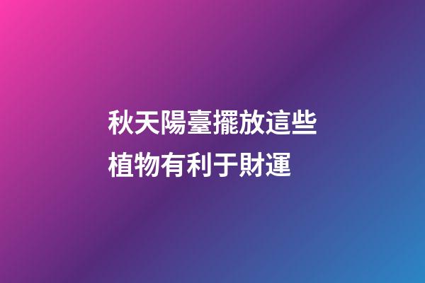 秋天陽臺擺放這些植物有利于財運