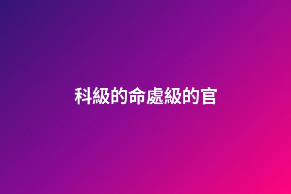 科級的命處級的官