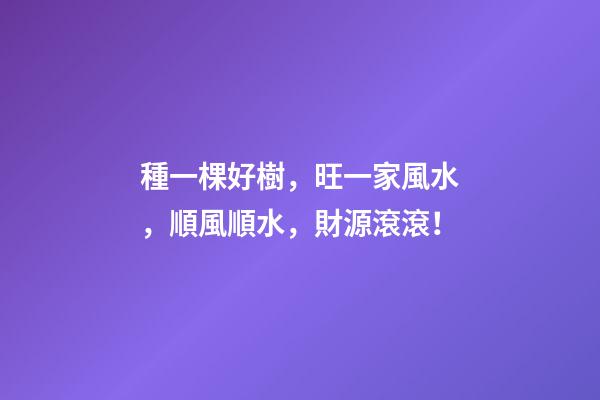 種一棵好樹，旺一家風水，順風順水，財源滾滾！