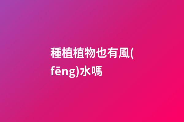 種植植物也有風(fēng)水嗎