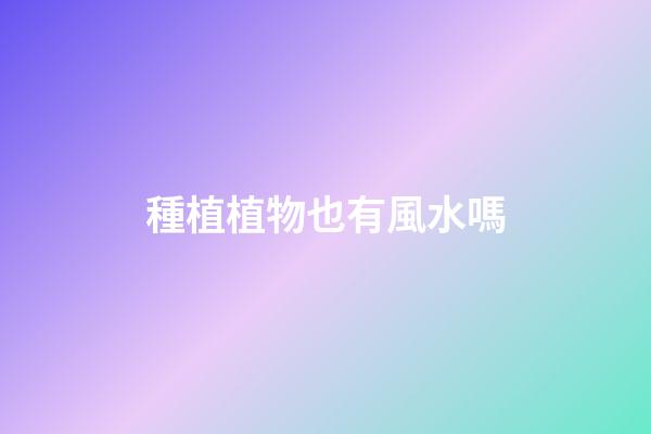 種植植物也有風水嗎