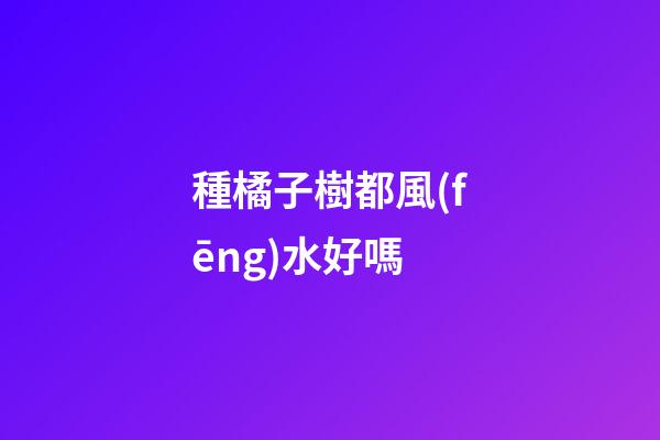 種橘子樹都風(fēng)水好嗎