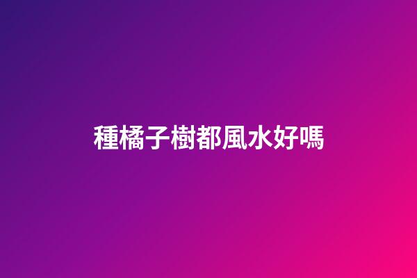種橘子樹都風水好嗎