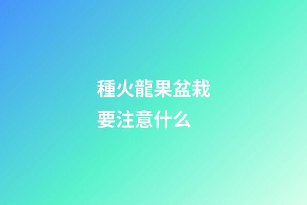 種火龍果盆栽要注意什么