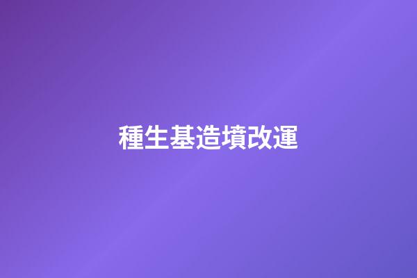 種生基造墳改運