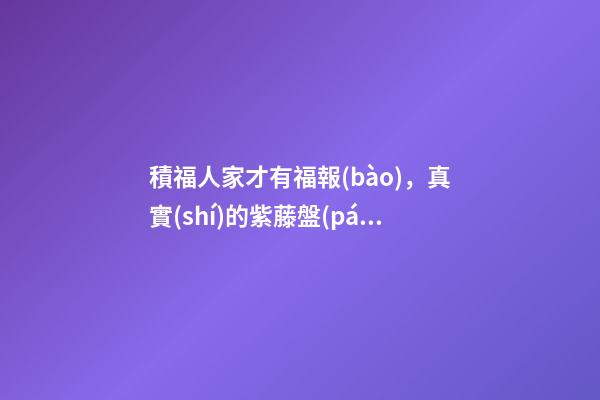 積福人家才有福報(bào)，真實(shí)的紫藤盤(pán)棺的風(fēng)水故事