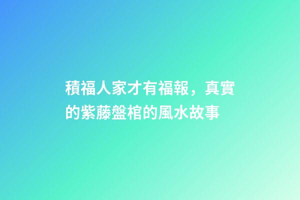 積福人家才有福報，真實的紫藤盤棺的風水故事