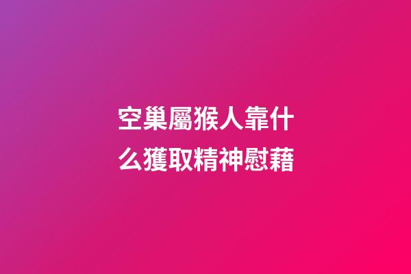 空巢屬猴人靠什么獲取精神慰藉