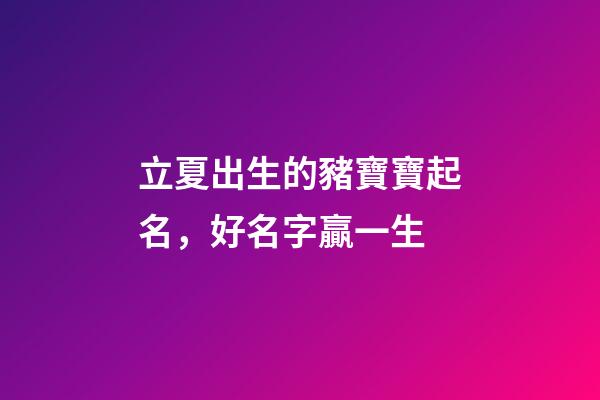 立夏出生的豬寶寶起名，好名字贏一生