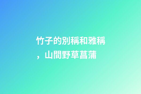 竹子的別稱和雅稱，山間野草菖蒲-第1張-觀點-玄機派