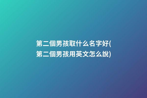 第二個男孩取什么名字好(第二個男孩用英文怎么說)