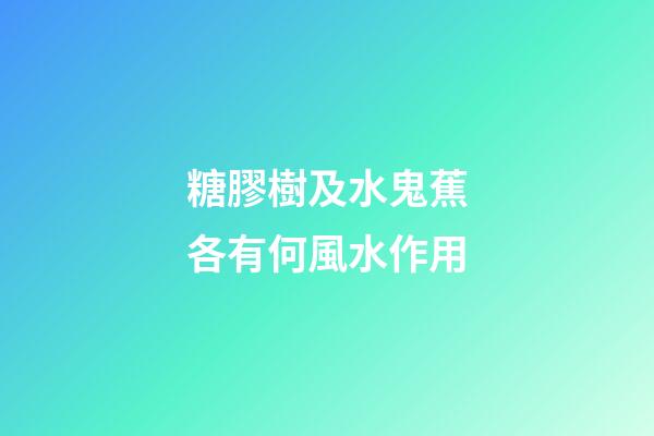 糖膠樹及水鬼蕉各有何風水作用?