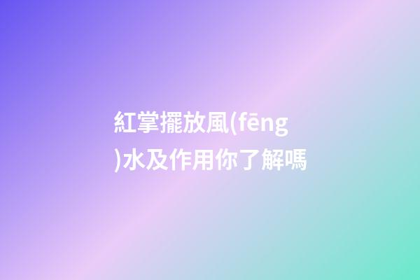 紅掌擺放風(fēng)水及作用你了解嗎