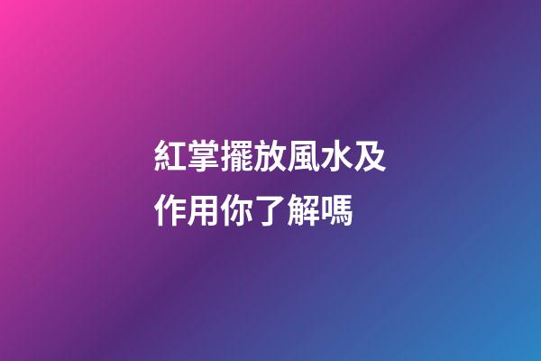 紅掌擺放風水及作用你了解嗎