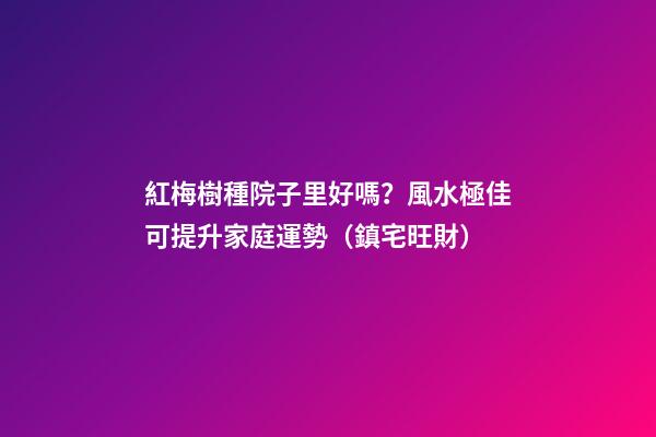 紅梅樹種院子里好嗎？風水極佳可提升家庭運勢（鎮宅旺財）