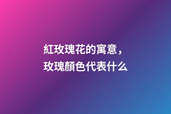 紅玫瑰花的寓意，玫瑰顏色代表什么-第1張-觀點-玄機派