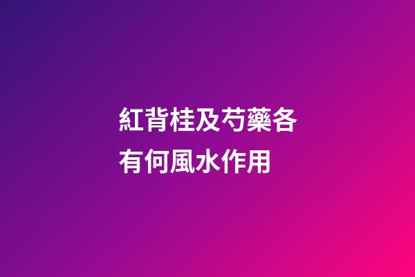 紅背桂及芍藥各有何風水作用?