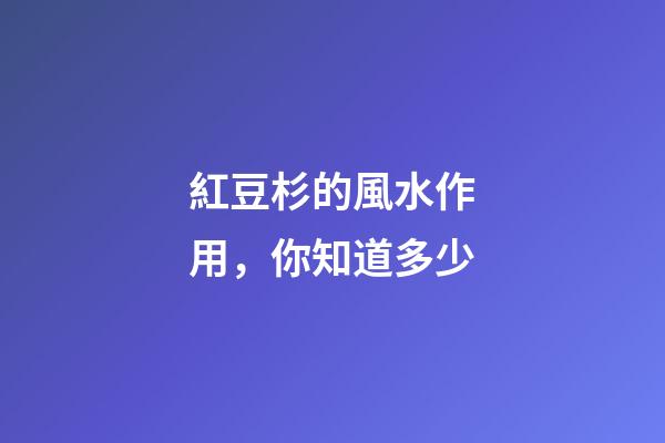 紅豆杉的風水作用，你知道多少