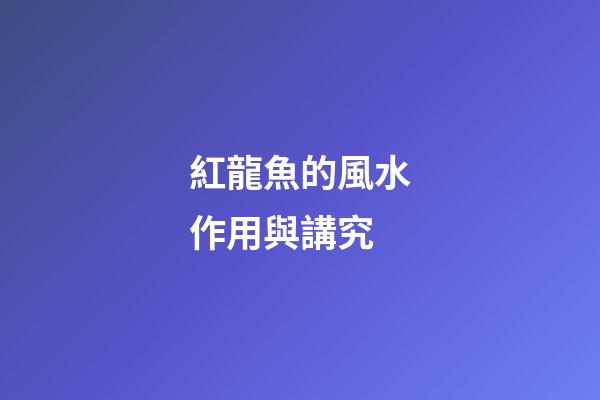 紅龍魚的風水作用與講究