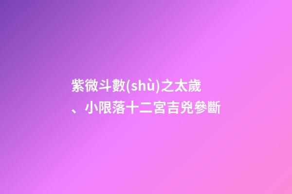 紫微斗數(shù)之太歲、小限落十二宮吉兇參斷