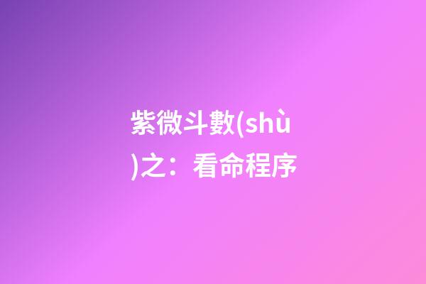 紫微斗數(shù)之：看命程序
