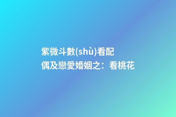紫微斗數(shù)看配偶及戀愛婚姻之：看桃花