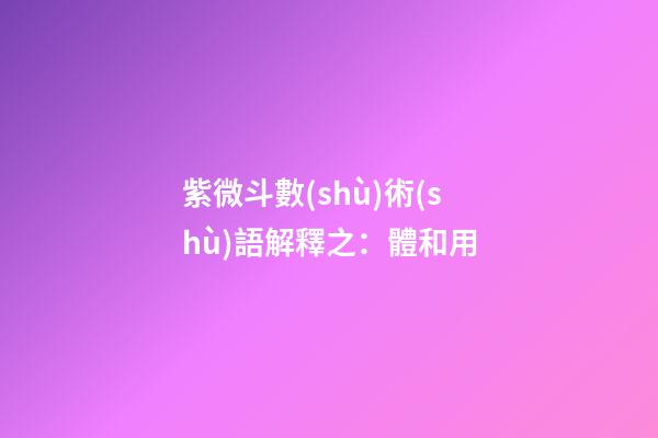 紫微斗數(shù)術(shù)語解釋之：體和用