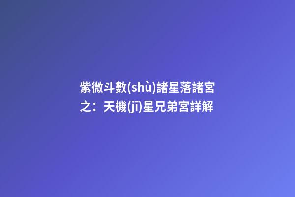 紫微斗數(shù)諸星落諸宮之：天機(jī)星兄弟宮詳解