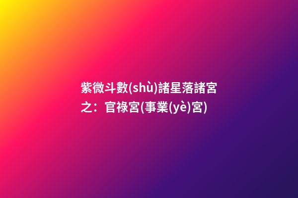 紫微斗數(shù)諸星落諸宮之：官祿宮(事業(yè)宮)