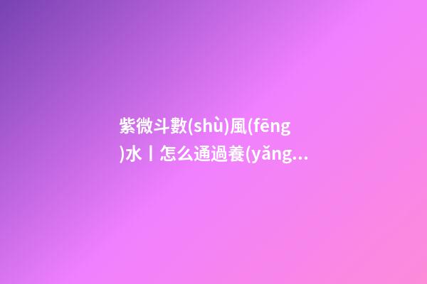 紫微斗數(shù)風(fēng)水丨怎么通過養(yǎng)狗旺風(fēng)水？
