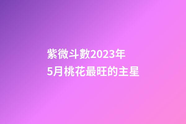 紫微斗數2023年5月桃花最旺的主星
