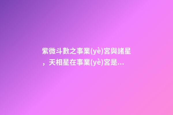 紫微斗數之事業(yè)宮與諸星，天相星在事業(yè)宮是什么意思？